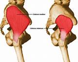 Images of Exercises Gluteus Minimus