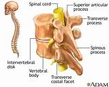 Spinal Cord Abscess Treatment Images