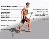 Core Muscles Used In Running