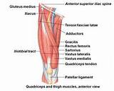 Pictures of Vastus Intermedius Muscle Exercises
