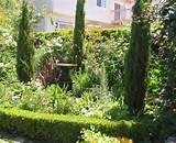 Images of Privacy Landscaping
