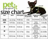 Photos of Dog Clothes Size Chart