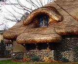 How To Make Thatched Roof Pictures