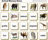 Photos of Memory Card Game Online