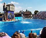 Sea World Reservations Images