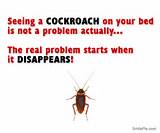 Cockroach Quotes Funny Pictures