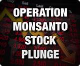 Photos of Monsanto Stock Quote