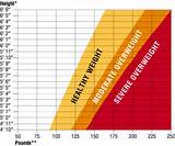 Healthy Weight Ranges Images