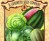 Photos of Seed Company Catalogs