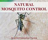Diy Mosquito Control For Yard