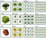 Images of Square Foot Gardening Planner