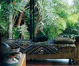 Images of Jungle Patio Design