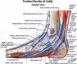 Extensor Tendonitis Recovery Time Images
