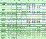 Pictures of Garden Planting Schedule Te As