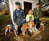 Images of Ptsd Service Dog Training Texas