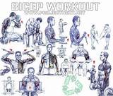 Training Exercises Biceps Pictures