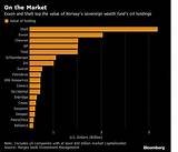 Oil And Gas Investment Fund