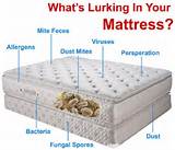Images of Mattress Cleaning Industry
