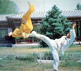 Pictures of Chinese Kung Fu Kerala