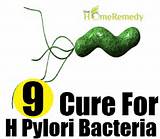 Images of H Pylori Bacteria Home Remedies