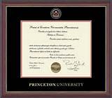 Princeton Online Degree Pictures