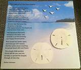 Sand Dollar Story Of Jesus Pictures