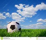 Pictures of Royalty Free Soccer Images