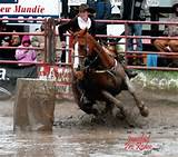 Barrel Racing Lessons Images