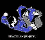 Pictures of Brazilian Jiu Jitsu Holds