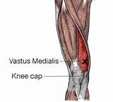 Vastus Medialis Muscle Strengthening Exercises Images