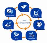 Lead Manager