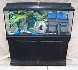 55 Gallon Fish Aquarium Stand Images