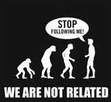 Theory Of Evolution True Or False Photos