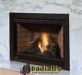 Images of Napoleon Gas Fireplace Parts