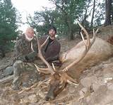 New Mexico Elk Hunting Outfitters