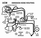 Pictures of Vacuum Hose Diagram Chevy 305