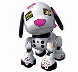 Pictures of Rock It Robot For Sale