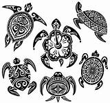 Pictures of Hawaiian Sea Turtle Stickers