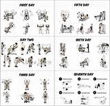 Photos of Gym Fitness Workout Plan