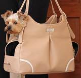 Designer Dog Carrier Handbag Photos