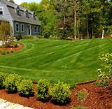 Landscaping Design Photos Pictures