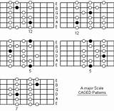 Guitar Major Scales Images
