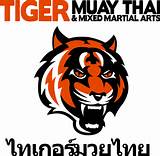 Photos of Tiger Thai Muay