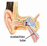 Home Remedies Eustachian Tube Dysfunction