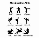 Martial Arts Types Photos