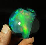 Opalized Wood For Sale