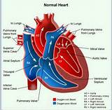 Images of Heart Medical Supply