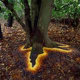 Andy Goldsworthy Installation Art Photos