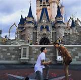Disney Proposal Package