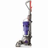 Pictures of Animal Dyson Vacuum